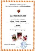 Сертификат участника мастер -класса
